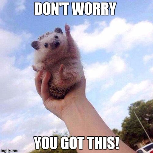 Got this meme